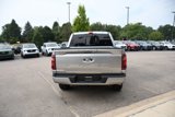 New 2025 Ford F150 XLT image 5