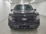 New 2025 Ford F150 XLT w/ Equipment Group 303A High image 2