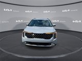 New 2025 Kia Carnival SX image 5