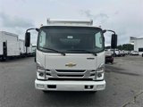 New 2025 Chevrolet Low Cab Forward image 3