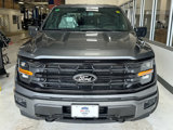 New 2025 Ford F150 XLT image 2