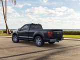 New 2025 Ford F150 XL image 4