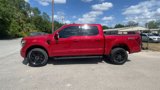 New 2025 Ford F150 Lariat w/ Bed Utility Package image 5