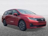 New 2025 Honda Odyssey Elite image 5