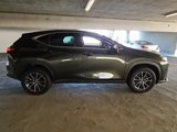 Used 2024 Lexus NX 250 FWD image 2