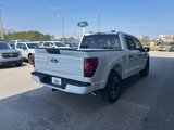 New 2025 Ford F150 STX w/ Equipment Group 200A image 5