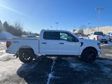 New 2025 Ford F150 STX w/ STX Black Appearance Package image 2