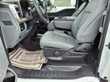 New 2025 Ford F350 XL w/ XL Chrome Package image 5