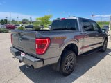 Used 2023 Ford F150 Tremor image 3