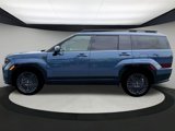 New 2025 Hyundai Santa Fe Calligraphy image 4
