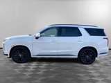 New 2025 Hyundai Palisade Calligraphy image 4