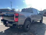 New 2025 Ford F250 Platinum image 4