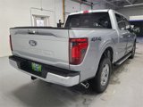 New 2025 Ford F150 XLT w/ Equipment Group 302A MID image 5