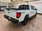 New 2025 Ford F150 STX image 5