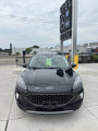 Used 2020 Ford Escape Titanium image 4