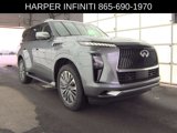 Used 2025 INFINITI QX80 Sensory image 4