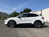 Certified 2022 Ford Escape SE w/ SE Sport Appearance Package image 3