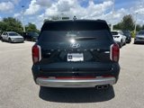 New 2025 Hyundai Palisade Calligraphy image 5
