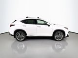New 2025 Lexus NX 350 AWD w/ Premium Package image 4