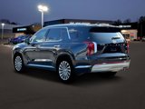 New 2025 Hyundai Palisade Calligraphy image 5