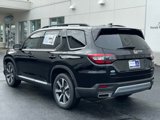 New 2025 Honda Pilot Elite image 3