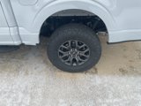 Used 2025 Ford F150 Tremor w/ Equipment Group 402A High image 6