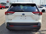 Used 2022 Toyota RAV4 XLE Premium image 6