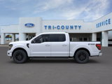 New 2025 Ford F150 XLT w/ Equipment Group 302A MID image 3