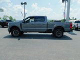 New 2025 Ford F250 Platinum image 6