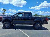 New 2025 Ford F150 STX image 4