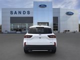 New 2025 Ford Escape ST-Line Elite w/ Tech Pack #1 image 5