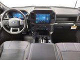 New 2025 Ford F150 STX image 2