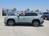 Certified 2023 Toyota RAV4 XLE Premium image 3