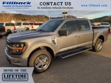 Used 2024 Ford F150 XLT image 1
