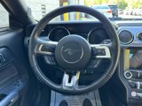 Used 2017 Ford Mustang GT w/ GT Performance Package image 5