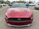 Used 2019 Ford Mustang Premium w/ Ford Safe & Smart Package image 3