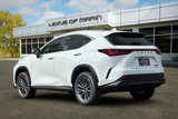 New 2026 Lexus NX 350h AWD w/ Premium Package image 3