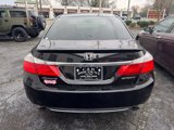 Used 2013 Honda Accord Sport image 6