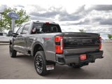 New 2025 Ford F250 Platinum image 4
