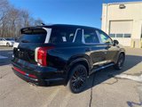 New 2025 Hyundai Palisade Calligraphy image 3