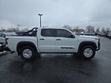 Used 2024 Nissan Frontier SV w/ Hardbody Edition image 5