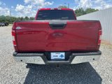 Used 2019 Ford F150 XLT w/ Equipment Group 302A Luxury image 4