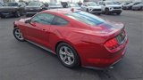 Used 2021 Ford Mustang Coupe image 6