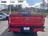 New 2025 Ford F350 XL w/ STX Appearance Package image 6