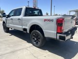 New 2025 Ford F250 XL image 3