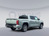 New 2025 Toyota Tundra 1794 Edition image 5