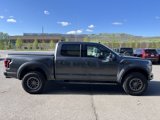 Used 2019 Ford F150 Raptor w/ Equipment Group 802A Luxury image 6