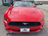 Used 2022 Ford Mustang Premium image 4