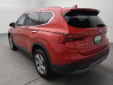 Used 2023 Hyundai Santa Fe SEL image 5