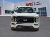 Used 2023 Ford F150 XLT w/ Equipment Group 302A High image 2